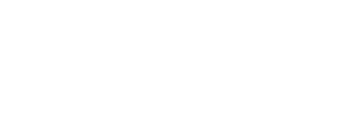 logo light